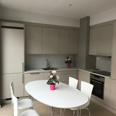 Center-near Opera-oslo S-barcode-2rooms Luxury Apartment *